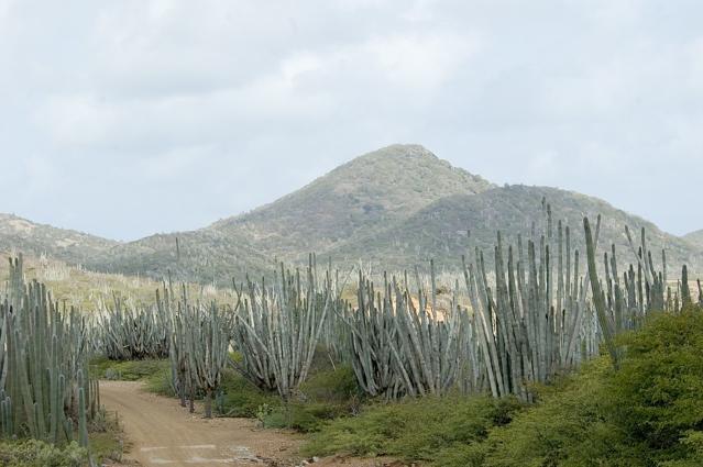 Mount Brandaris